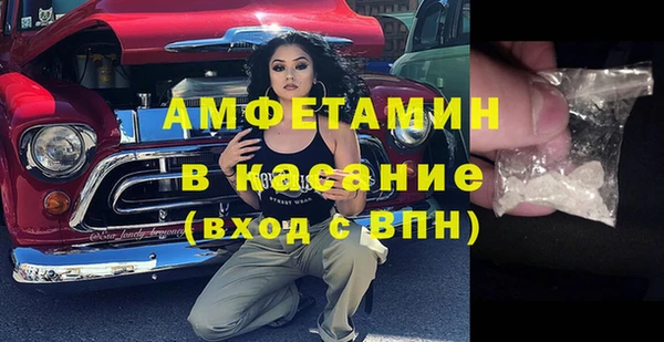твердый Алзамай