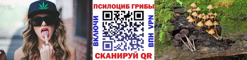 Галлюциногенные грибы Psilocybine cubensis  Красноуральск 